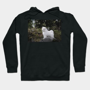 Samoyed dog puppy in the forest Hoodie